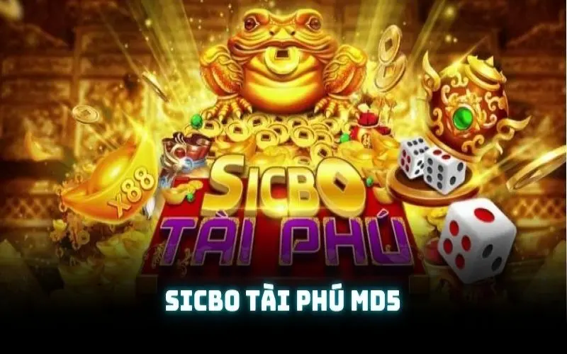 Sicbo Tài Phú MD5 - Đặt cược mới mẻ và chất lượng nhất 2025
