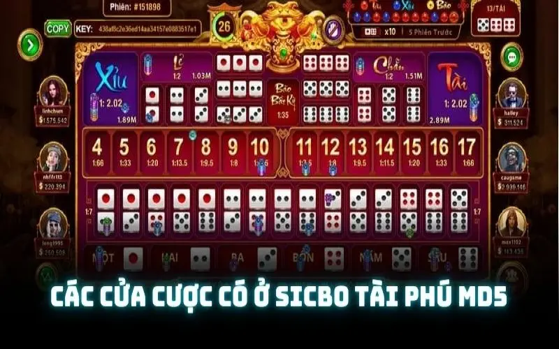 Các hình thức đặt cược mà hội viên cần chú ý khi tham gia trò chơi